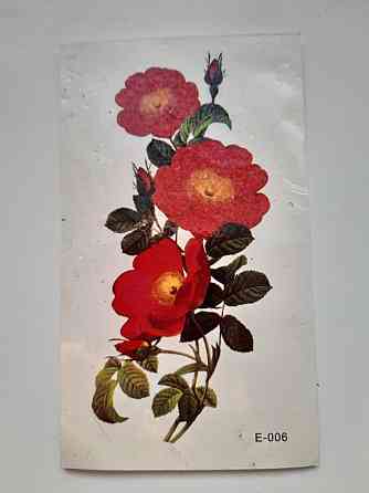 Тимчасове тату з написами - 10*6см Київ