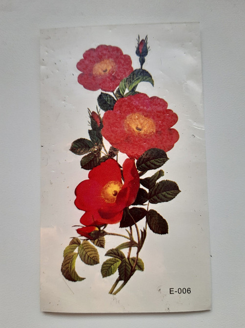 Тимчасове тату з написами - 10*6см Київ - фото 1