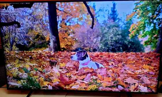 Телевизор Samsung QLED 50 диагональ. Киев