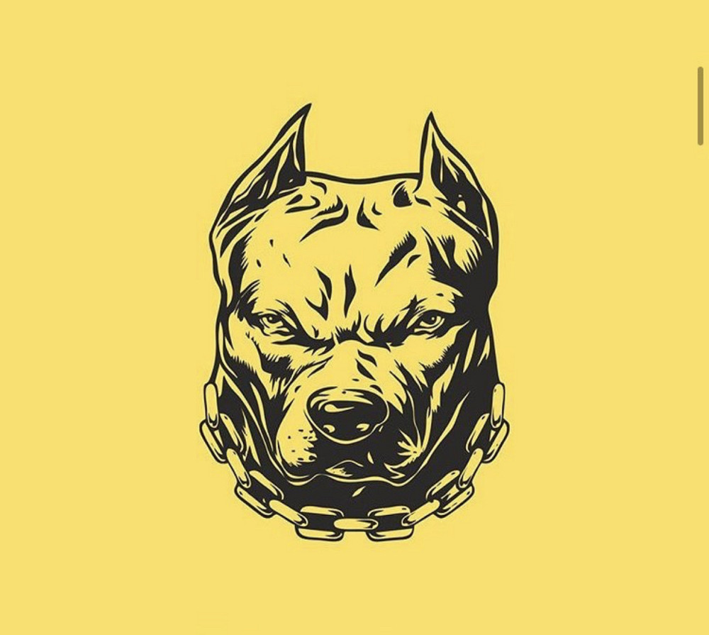 Вінілова наклейка на авто та будь яку поверхню в індивідуальних розмірах  — Pid Bull Чернівці - фото 1