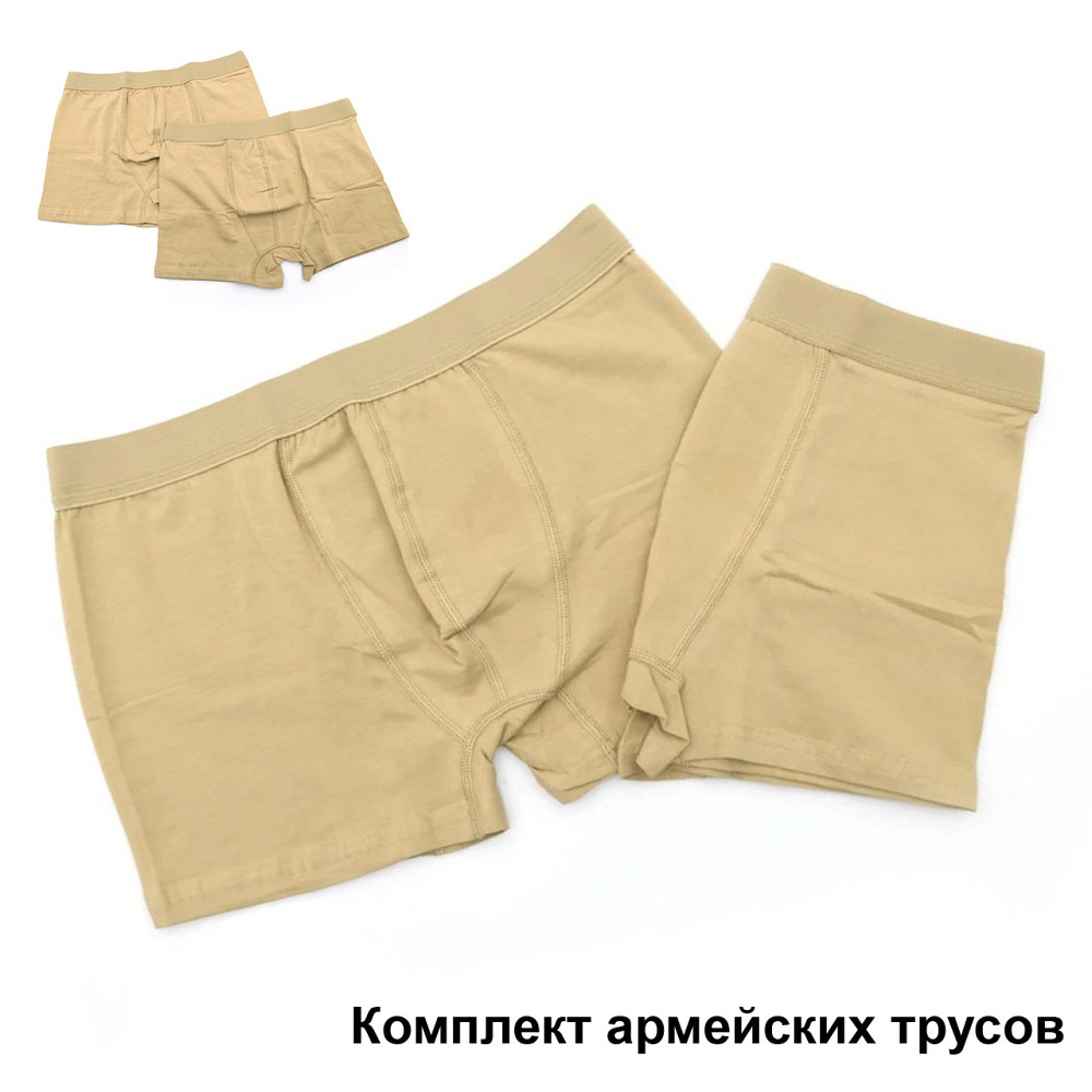 Труси чоловічі армійські, боксери військові, набір з 2 пар трусів-боксерів, Бежевий Розмір L/XL Кам'янець-Подільський - фото 4