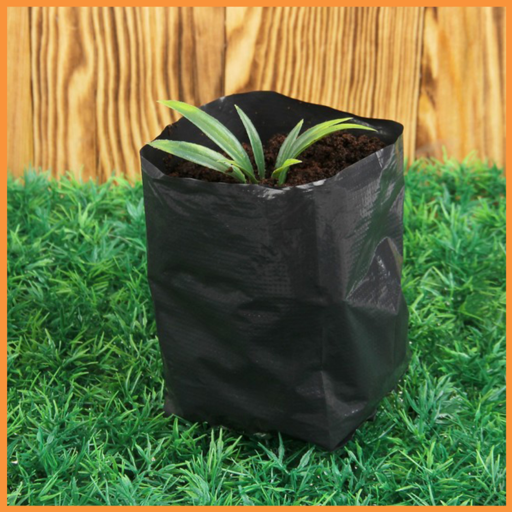 Пакет для розсади 80х500 метрів 40 мкм (чорний) рукав для вирощування розсади Дніпро - фото 5