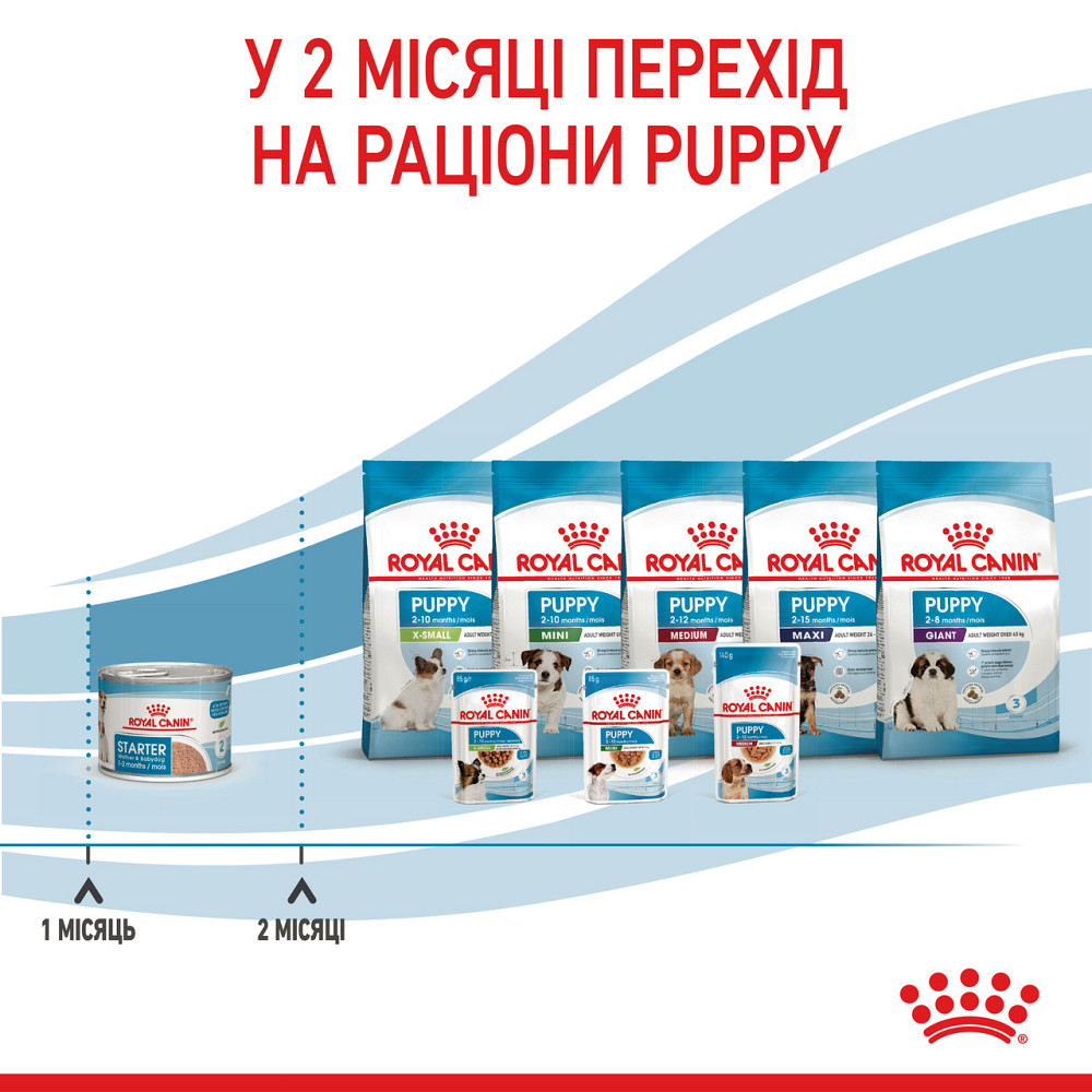 Royal Canin Starter Mousse Mother Babydog (Роял Канін Стартер) вологий корм для вагітних собак 195 г х 12 шт. Запоріжжя - фото 8