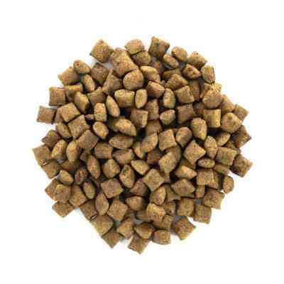 Сухой корм для кошек Brit Care Cat GF Sterilized Weight Control 7 кг (8595602540785) Винница