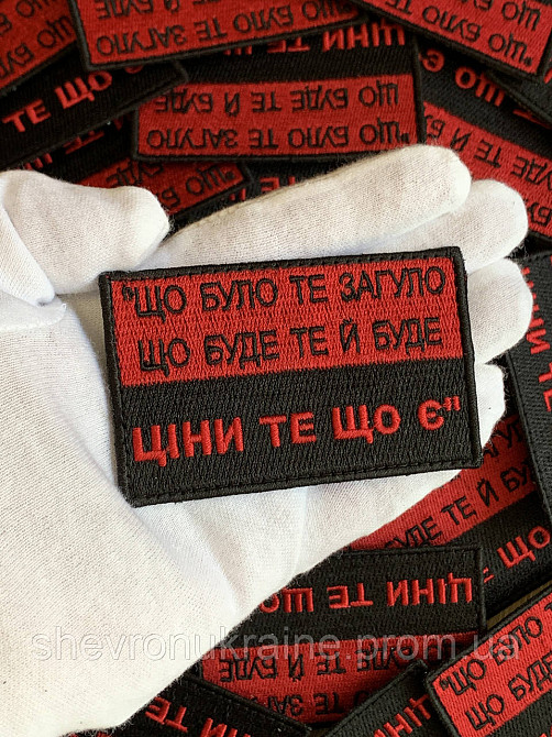 Шеврон ЦЕНИ ТО ЧТО ЕСТЬ (Форма прямоугольная. На липучке) Размер 5x8см Киев - изображение 6