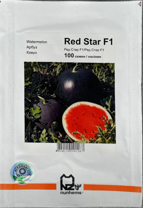 Насіння кавуна Ред Стар F1 100 сем., Nunhems, Голандія Вінниця - фото 2