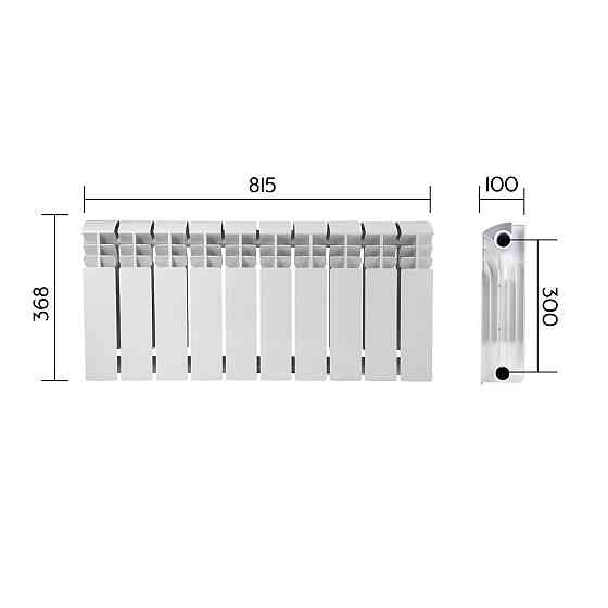 Радиатор биметаллический Thermo Alliance Bi-Ferrum 300/100 1,15 кг Киев