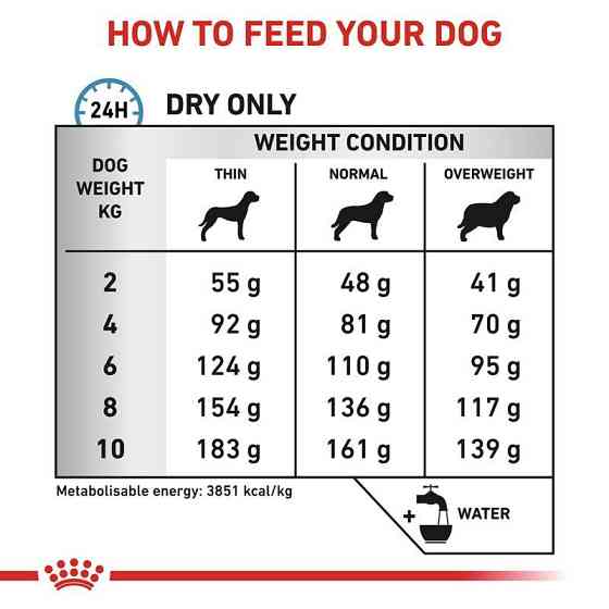 Royal Canin Anallergenic Small (Роял Канін Аналердженік Смаль) сухий корм для дрібних собак під час алергії на корм 3 кг Запоріжжя