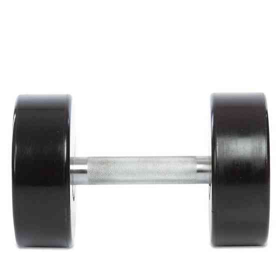 Гантель 18 кг цільна професійна LIFE FITNESS-80081-18 Київ