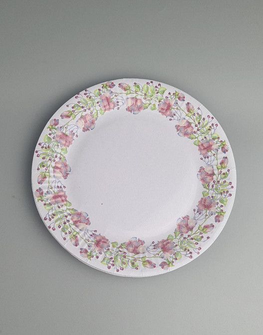 Паперова тарілка з малюнком 18 см "No 6" Весняний візерунок 10 шт (1 пачка) Харків - фото 1