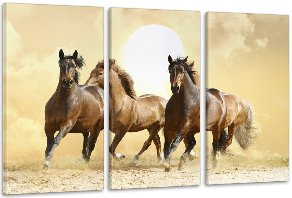 Модульна картина Коні Аrt-119_3А Київ - фото 1