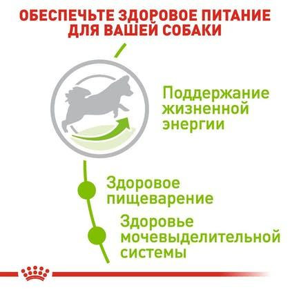 Royal Canin X-Small Adult 8+ (Роял Канін Ікс-Смол Едалт 8+) сухий корм для мініатюрних собак до 4 кг від 8 років Запоріжжя - фото 4