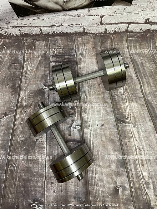 Гантели наборные 2 по 24 кг + Переходник для штанги Гантели, гири, штанги и диски металлические без покрытия Киев - изображение 6