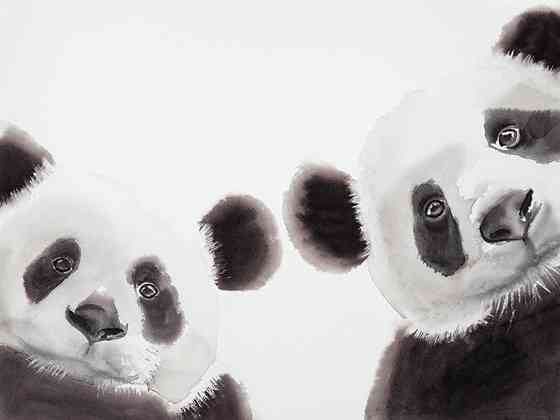 Холст  AIMEE DEL VALLE (LES PERPLEXES) 80х60 см Ровно