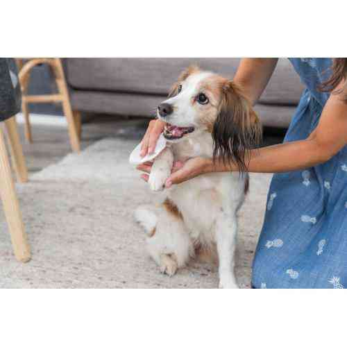 Серветки Trixie очищуючі універсальні з алое, 30 шт Вінниця