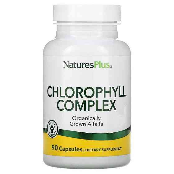 Хлорофилл Chlorophyll 600 мг 90 капсул Киев