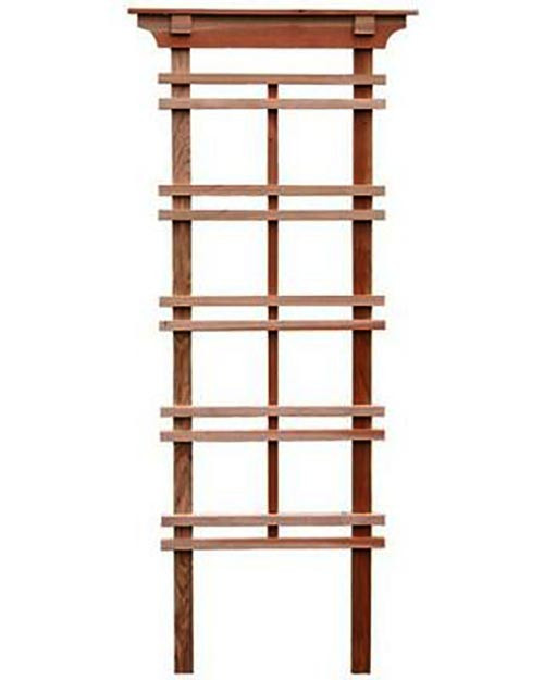 Пергола-шпалера 