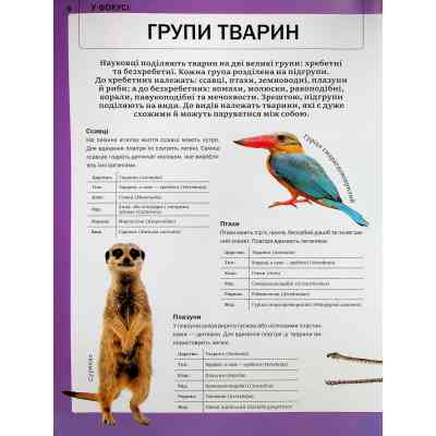 Книга Велика книга тварин - Клаудія Мартін Vivat (9786171704794) Винница