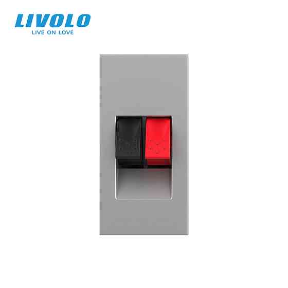 LIVOLO Hi-Fi аудіо розетка LIVOLO (Banana), сіра, для колонок і підсилювачів, модуль 0.5 поста Коломия