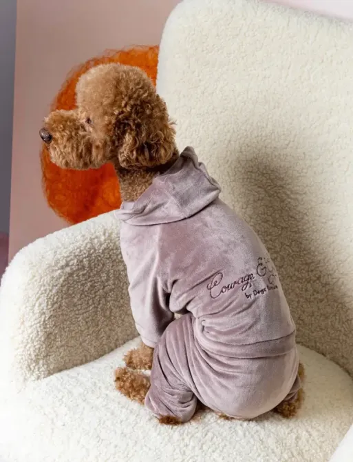 Костюм для собак велюровий Dogs Bomba з капюшоном трикотаж весна-осінь для середніх порід Кураж Пудра 3 Одеса - фото 4