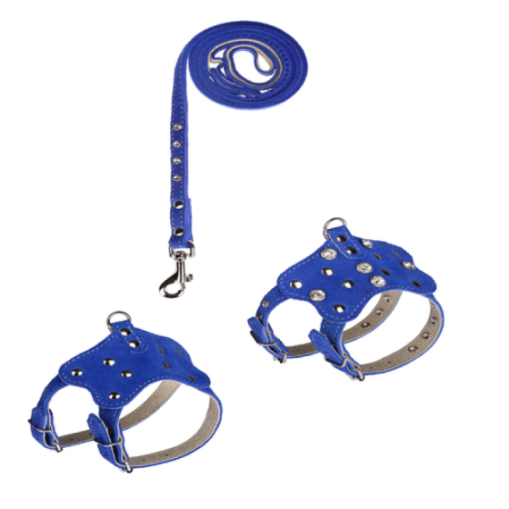 025 КОМПЛЕКТ"ВЕЛЮР":шлейка "815"+ Повідець"793" Вінниця