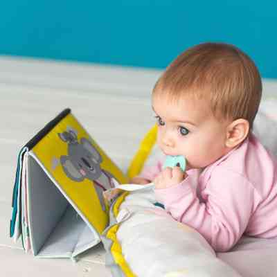 Розвиваюча іграшка Taf Toys книжка-розкладачка Пригоди коали Кімі (12395) Вінниця