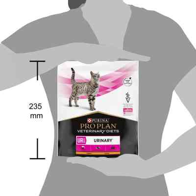 Сухой корм для кошек Purina Pro Plan Veterinary Diets UR Urinary при мочекаменной болезни 350 г (7613035154216/7613287585080) Винница