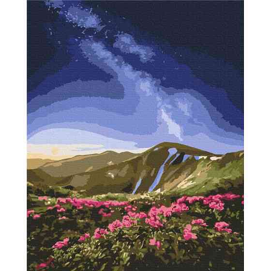 Картина за номерами "Чорногора" ©Roksolana Baran BS53753, 40х50 см Вінниця
