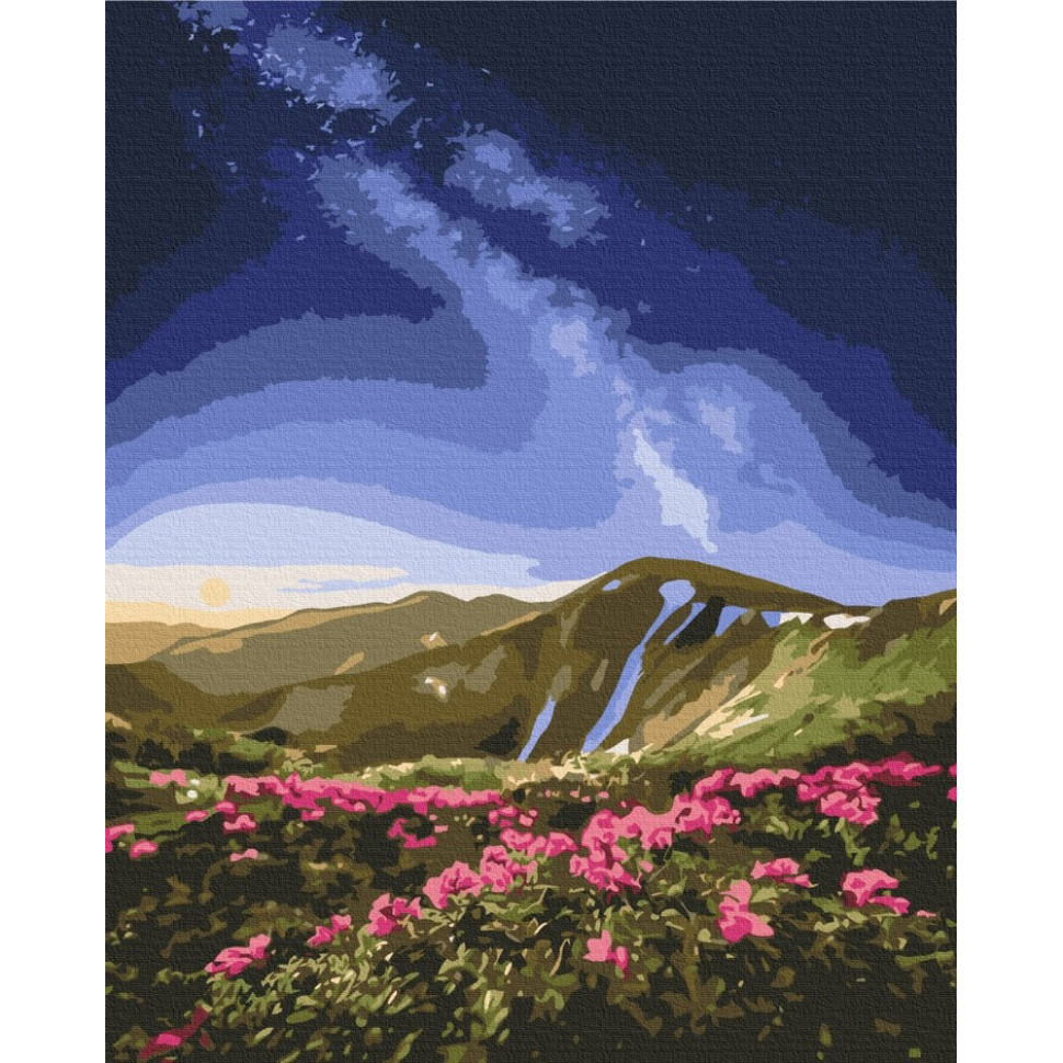 Картина за номерами "Чорногора" ©Roksolana Baran BS53753, 40х50 см Вінниця - фото 1