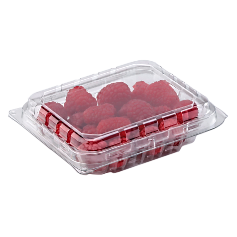 Лотки харчові поліпропіленові Вага: 0.125 кг з кришкою 143×96×35 мм (50 шт) Одноразове пакування Харків - фото 1