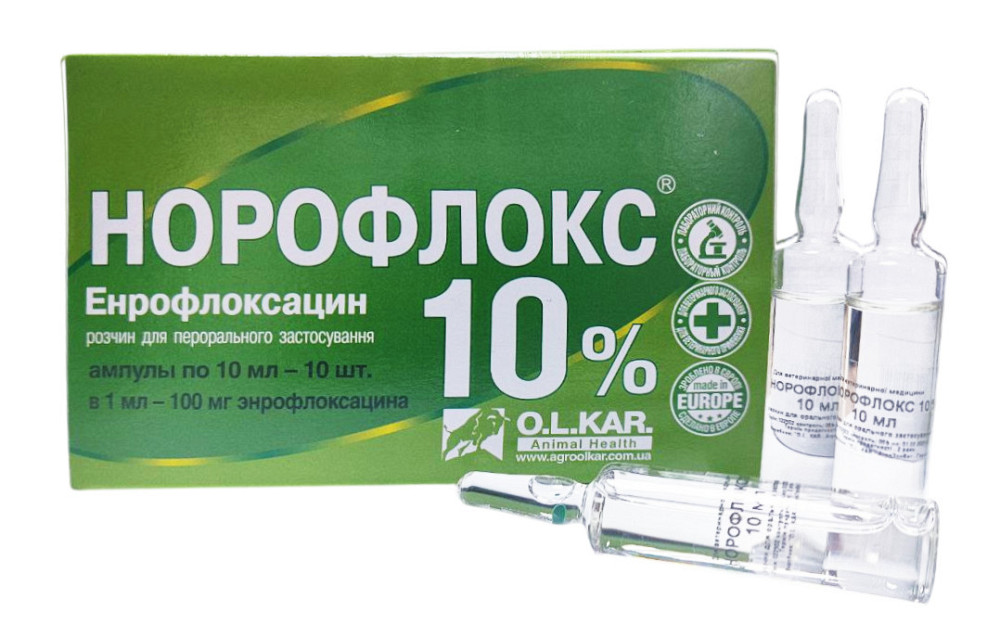 Норофлокс 10% оральний 10 мл №10 Вінниця - фото 1