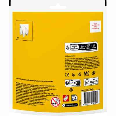 Конструктор LEGO recruitment Creator Рождественские забавы с дымоходом с Сантой (30692) Винница