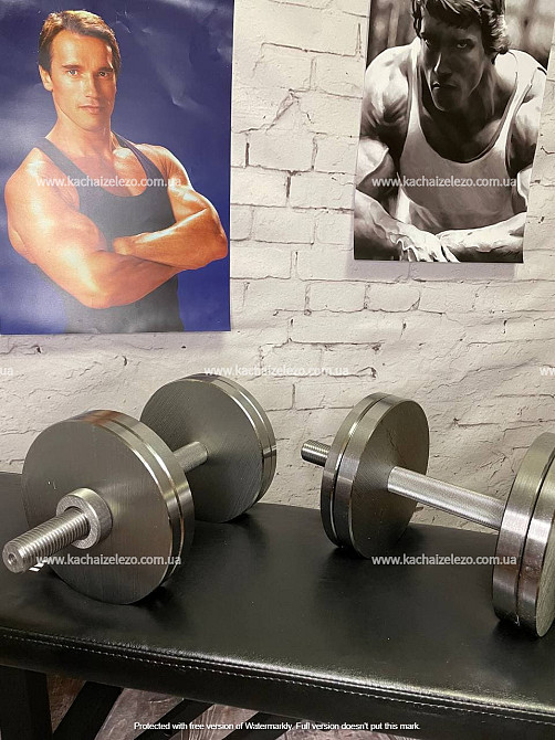 Гантелі набірні 2 по 12 кг Гантелі, гирі, штанги та диски металеві без покриття Київ - фото 2