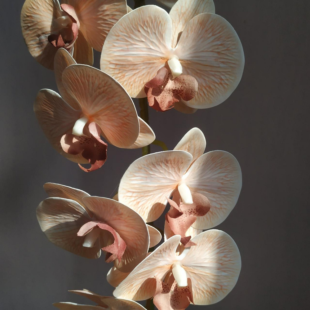 Штучна латексна орхідея VIP у бежевому керамічному кашпо на одну пудрову гілку. Дніпро - фото 2