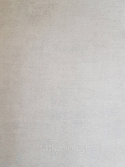 Обои виниловые на флизелине AS creation Garda 1.06Х10.05 под штукатурку структурные бежевые серебристые Киев - изображение 3