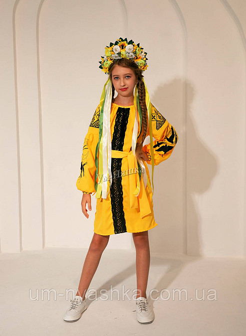 Дитяча вишита сукня з ластівками 104-152 Кривой Рог - изображение 1