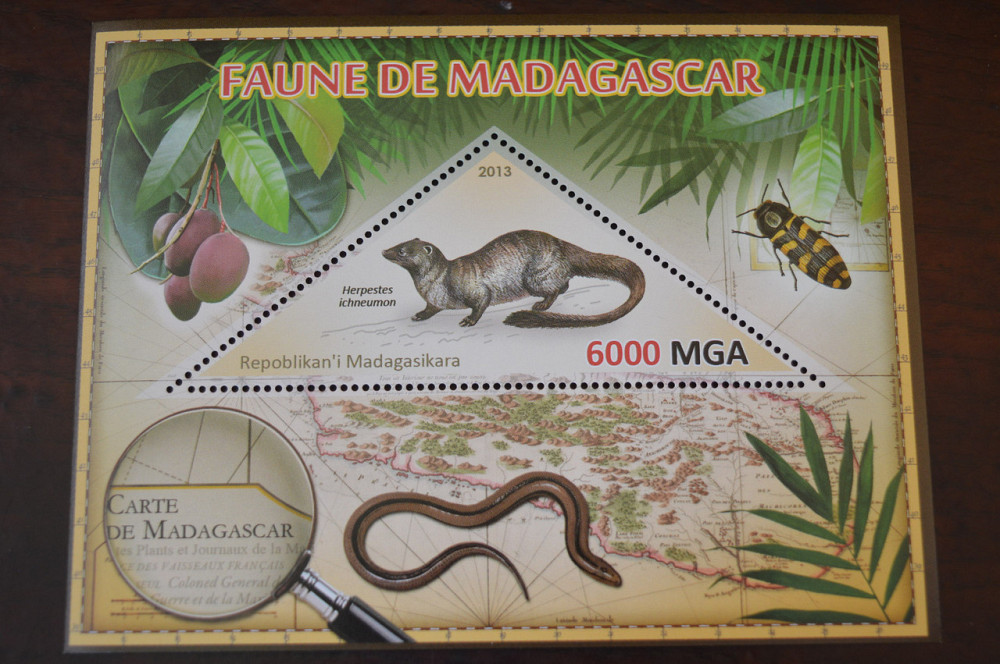 Мадагаскар. Фауна. Личности. Блок. 2014 р. (А-34) Полтава - фото 1