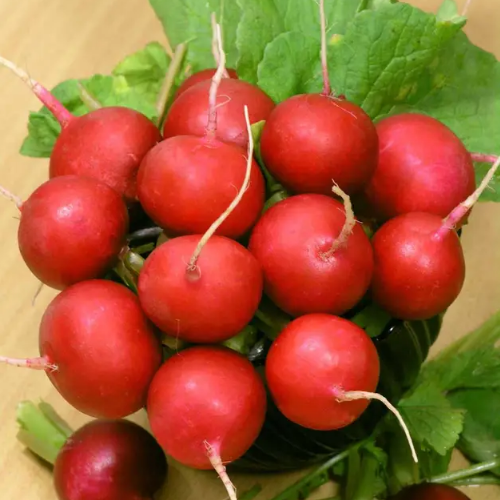 Редис Сора 3гр Професійне насіння Житомир - фото 3