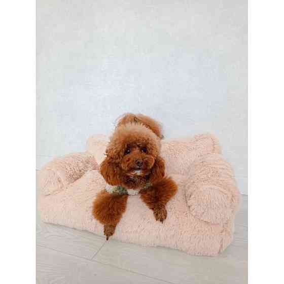 Хутряний диван лежак для собак і кішок спальне місце для тварин знімни Incor бежевий 10079 Київ