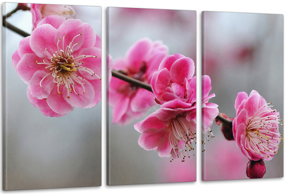 Модульна картина Квіти Весна (53х100см) Аrt-229_3А Київ - фото 1