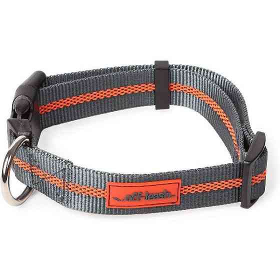 Нейлоновий нашийник для собак Dexas Off-Leash (Дексас Оф Ліш) Запоріжжя