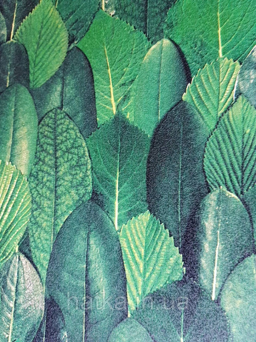 Обои виниловые на флизелине Marburg 31735 Imagine листья зеленые салатовые Киев - изображение 2