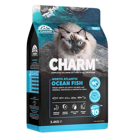 Charm North Atlantic Ocean Fish ЧАРМ ПІВНІЧНОАТЛАНТИЧНА РИБА сухий беззерновий холістик корм для котів Київ