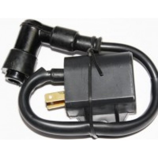 Котушка запалювання скутер Сузукі Мукачево - фото 1