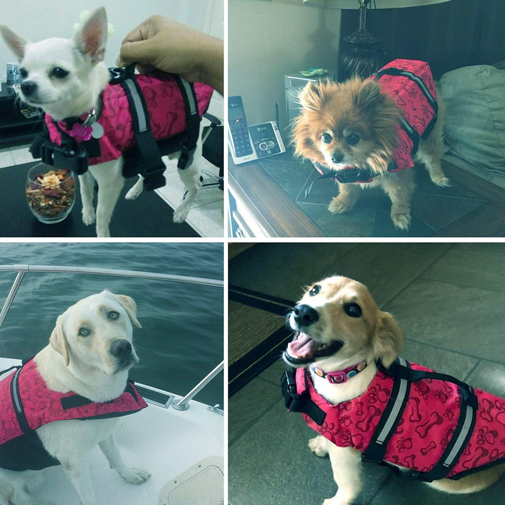 Рятувальний жилет, жилет для плавання для домашніх тварин XXS (до 3 кг) Луцьк - фото 7