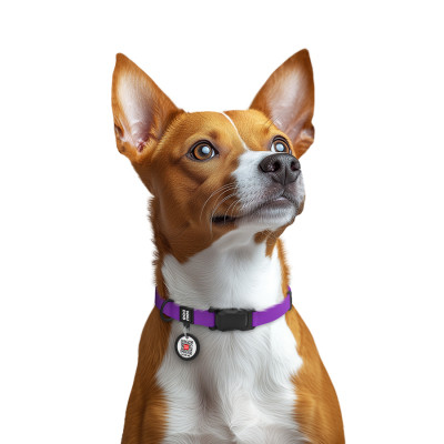 Ошейник для животных WAUDOG Magnet c QR паспортом, магнитная пряжка-фастекс S фиолетовый (27949) Винница - изображение 6