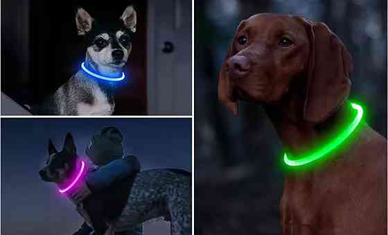 Светящийся ошейник для собак или котов с USB зарядкой три режима свечения М50 см прозрачный мультиколор Киев