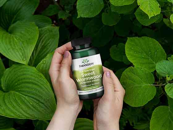 Полынь сладкая Swanson Full-Spectrum Wormwood 425 mg, 90 капсул Луцк