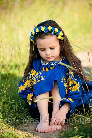 Сукня вишиванка жовто-синя Квіткова польяна жовто-синя Кривий Ріг - фото 8