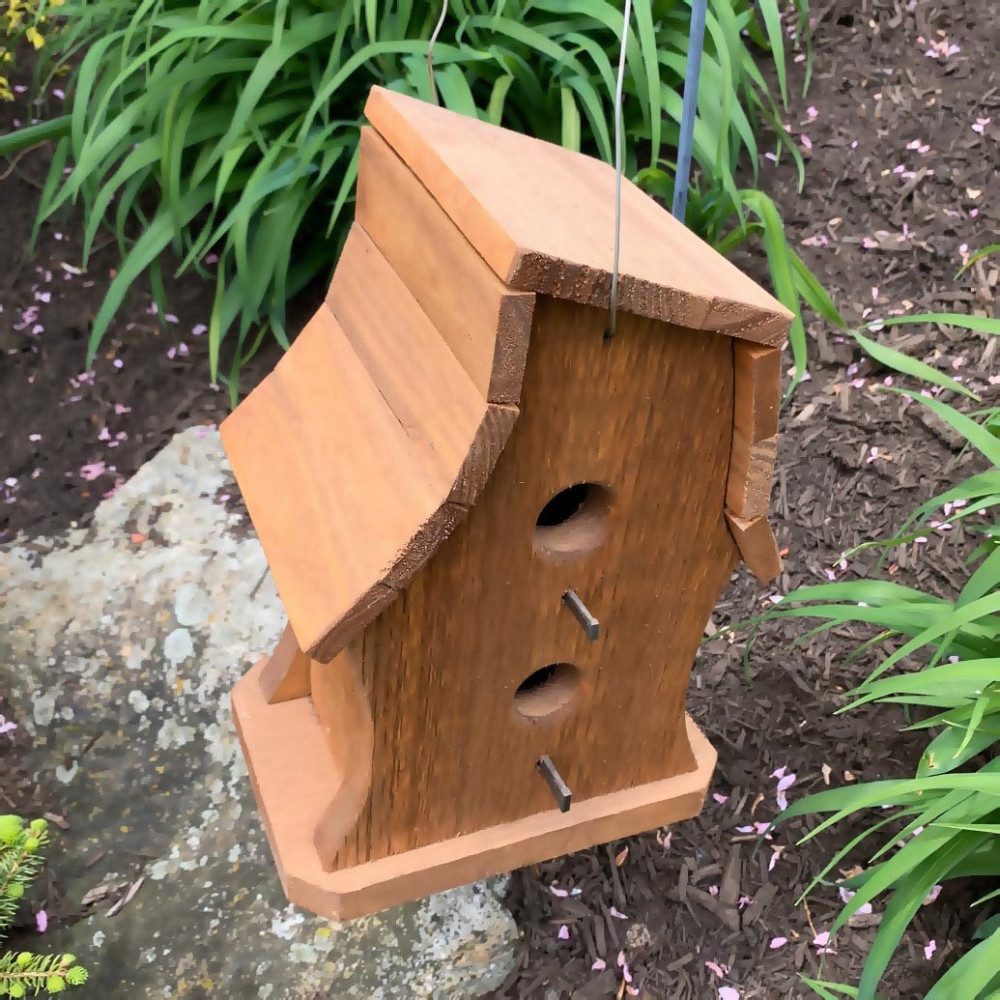 Шпаківня садова "Бігунок 2" мускат Миколаїв - фото 4